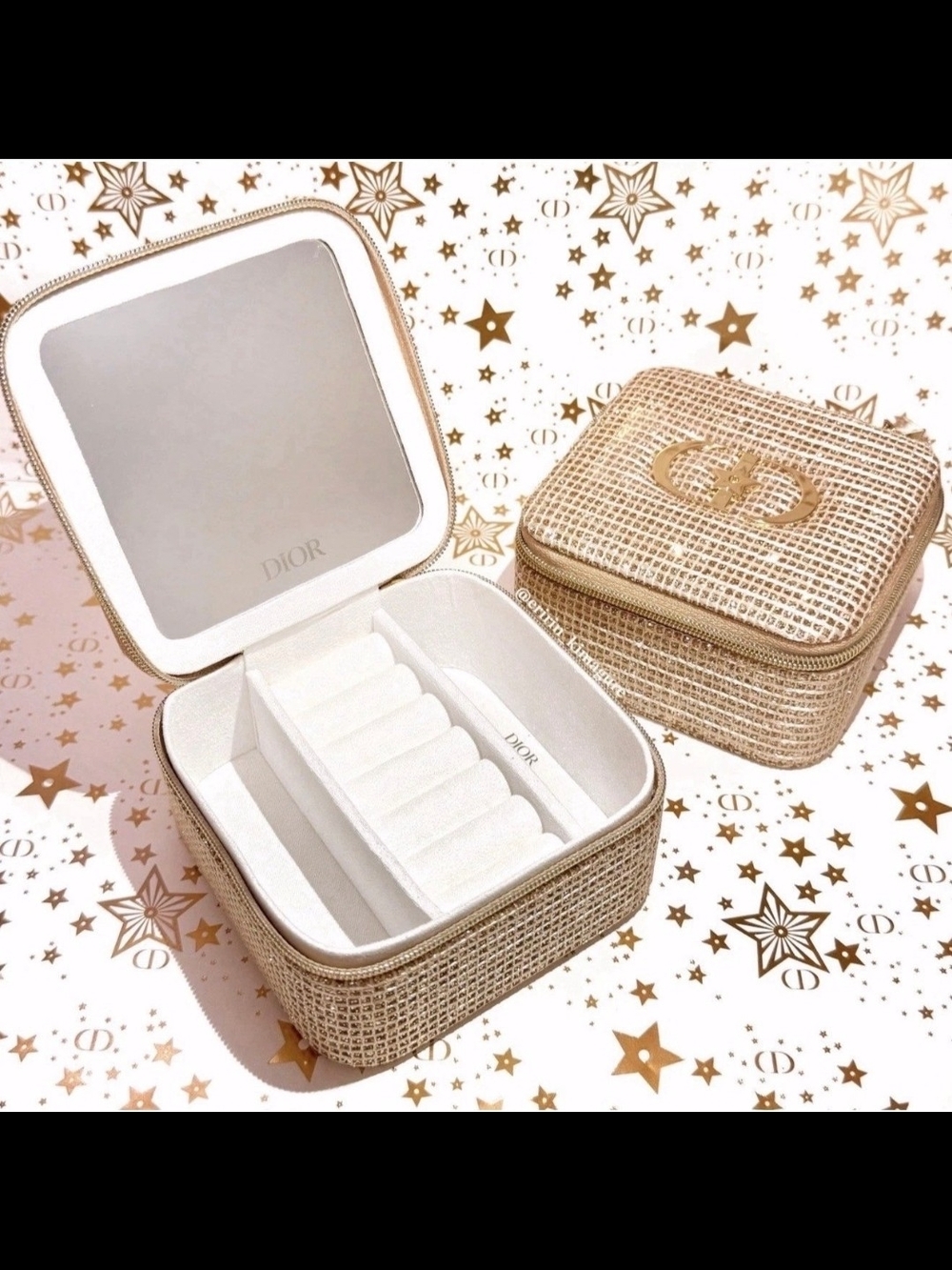 Dior Champaigne Woven Jewelry Travel Case